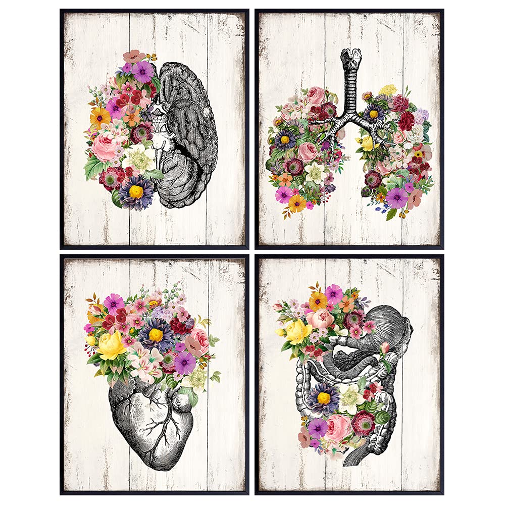 Shabby Chic Anatomy Wall Art Poster Set - 8X10 Rustic Pictures for Medical Clinic, Dr Office - Gift for Women, Woman, Wife, Her, Med Student, Physicians Assistant, Doctor, Nurse, PA - Unframed Decor