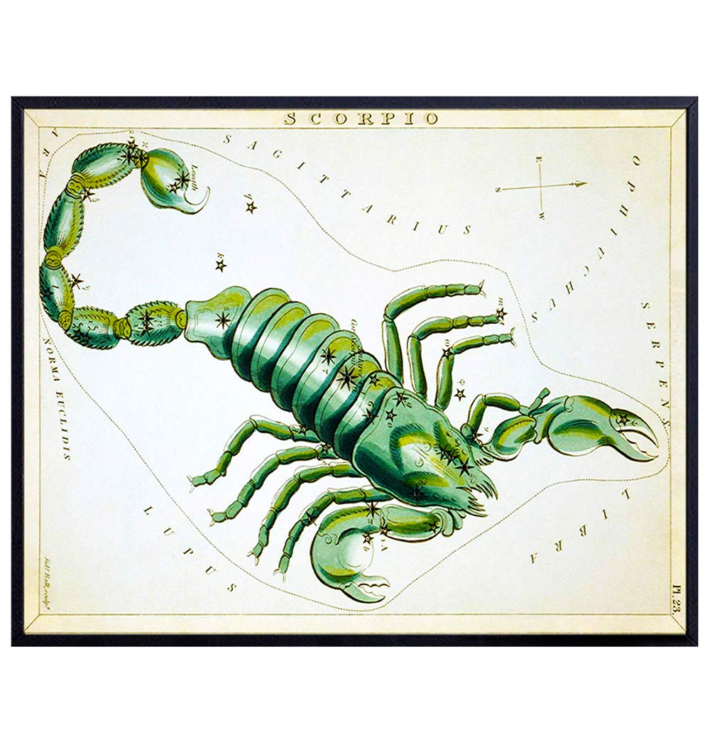 Vintage Scorpio Astrological Zodiac Chart - Great Gift and Chic Home Decor - Stars - Ready to Frame (8x10) Photo