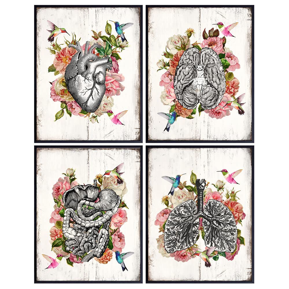 Human Anatomy Floral Hummingbird Wall Art Poster Set - 8x10 Rustic Heart, Brain, Lungs for Doctor, Medical Office, Living Room, Bedroom - Shabby Chic Goth Gift for ER Nurse Practitioner, RN, CNA