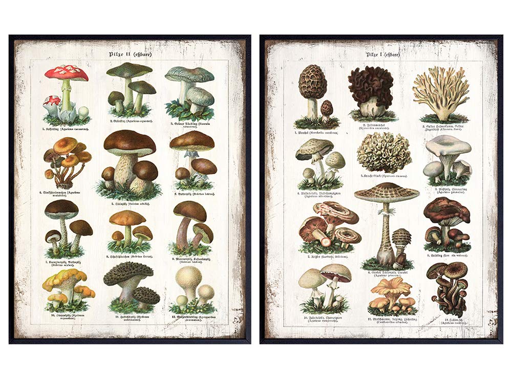 Mushroom Decor Set for Dining Room, Kitchen - Vintage Rustic Larousse Gastronomique Botanical Chart - Unframed Sign Photo Wall Art for Cafe, Restaurant - Country Boho Farmhouse Style Housewarming Gift