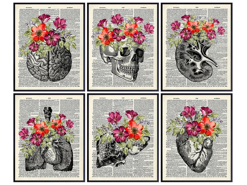 Heart, Skull, Brain, Lungs, Kidney, Liver Wall Art Decor - Human Anatomy Room Decorations - Medical Office Decor - Shabby Chic Gift for for Doctor, Nurse, Women, RN - Poster Picture Prints Set