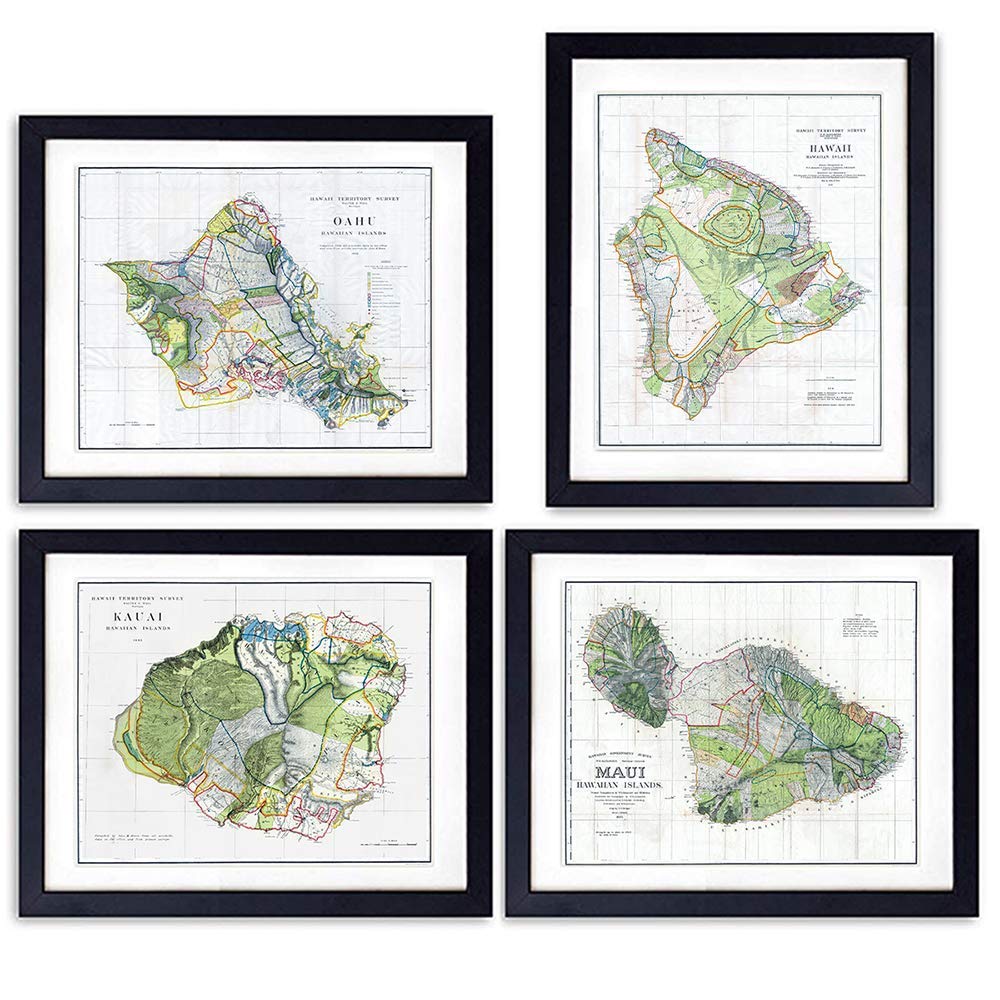 Hawaii Survey Maps - Unframed Wall Art Prints - Set of Four - Perfect Gift for Map Fans - Great Office or Home Decor - Ready to Frame (8X10) Vintage Photos
