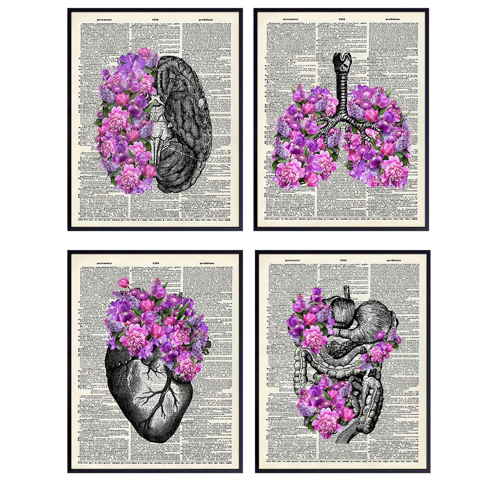 Upcycled Dictionary Vintage Organs Wall Art Decor Set - 8x10 Goth Steampunk Gift for Nurse, Doctor, Physician, Med Student, PA - Shabby Chic Anatomy Posters for Dr Office, Medical Clinic