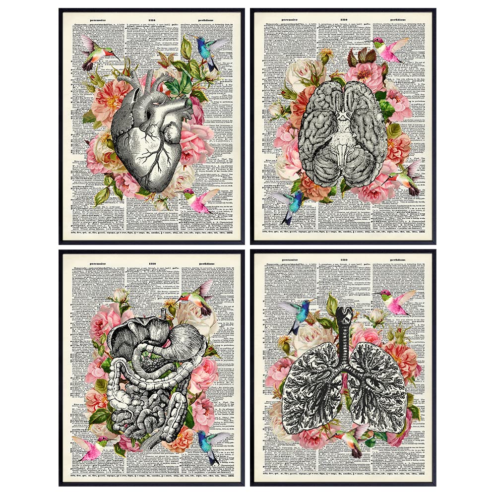 Heart, Brain, Lungs Anatomy Wall Art Set w/Flowers, Hummingbirds - 8x10 Goth Home Decor Poster Set for Bedroom, Medical Office, Living Room, Bathroom, Gift for Nurse Practitioner, RN, Doctor