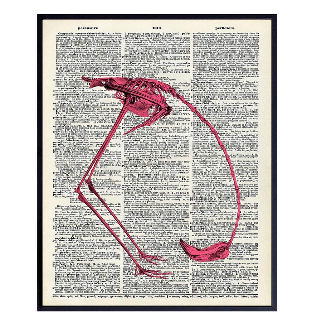 Skeleton Flamingo Dictionary Art Print - Upcycled Vintage Wall Art Poster - Home Decor for Living Room, Bedroom, Bathroom - Great Gift for Women, Men, Steampunk and Goth Fans - 8x10 Photo - Unframed