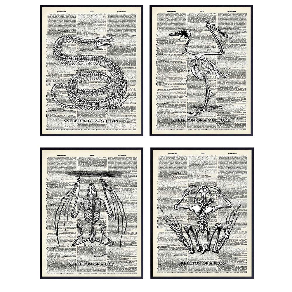 Goth Home Decor - Gothic Room Decor, Wall Art - Creepy Snake Bat Frog Vulture Skeletons Poster Set - Hipster Gift or Cool Vintage Decoration for Office, Living Room, Bedroom, Apartment - Chic Prints