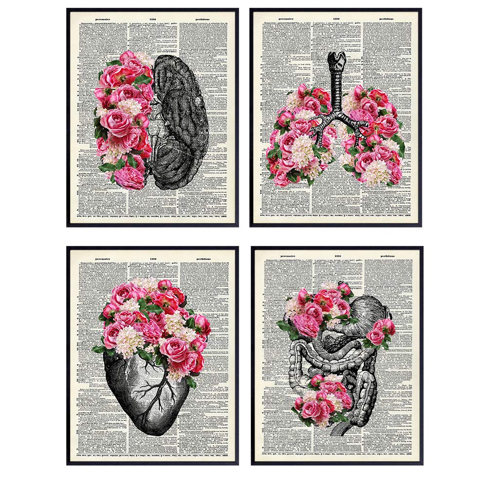 Vintage Organs Dictionary Wall Decor Picture Set, 8x10 - Steampunk Goth Gift for Nurse, Doctor, Physician, Med Student, PA - Upcycled Shabby Chic Anatomy Posters for Dr Office, Medical Clinic