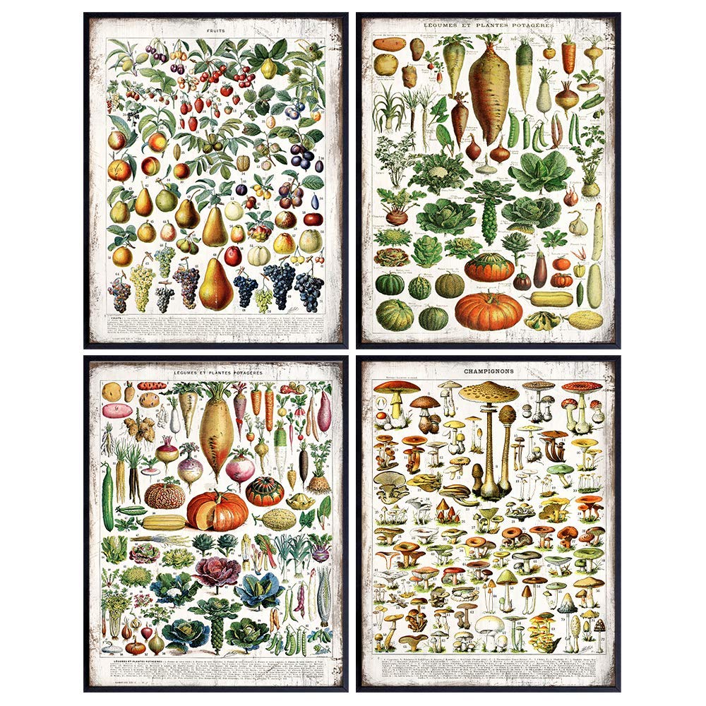Kitchen Wall Art - Vintage Botanical Prints - Dining Room Wall Art - Kitchen Wall Decor - Rustic Farmhouse Country Kitchen Decor - Cavallini Style Poster - Cafe Wall Decor - 8x10 Adolphe Millot Poster