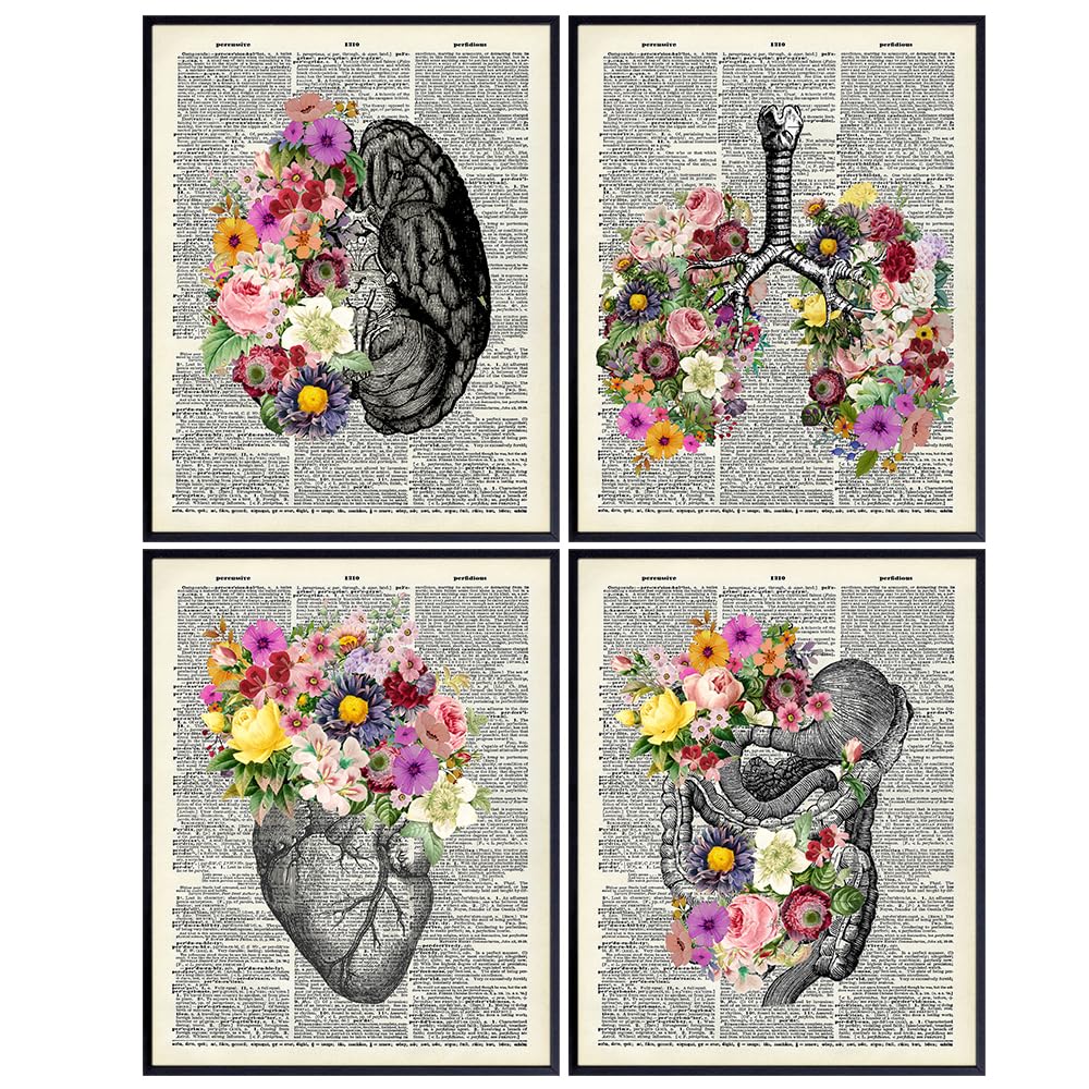 Human anatomy Shabby chic Art 11x14 - Vintage Gothic Wall Decor - Unique Gift for Doctor Nurse PA Med Student Hospital - Heart Organs Flowers Poster - Eclectic Home Decor - Aesthetic Trendy Wall Art