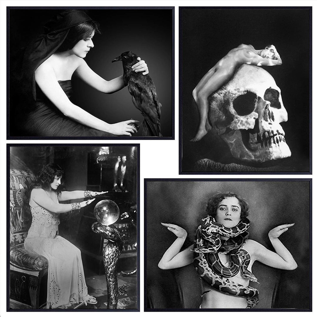 Goth Gothic Home Decor Creepy Vintage Photo Set - Skull, Woman, Raven, Snake, Fortune Teller Wall Art for Living Room, Bedroom, Bathroom, Living Room - Rustic Gift - 4 8x10 Retro Poster Prints